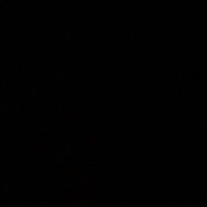 Meet your Posher, Jean